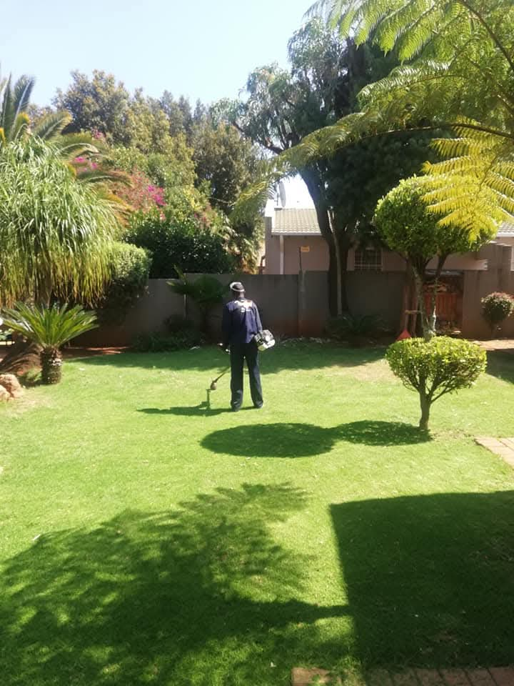 Professional lawn maintenance service